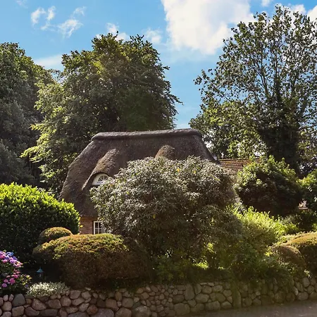 아파트 My Little Rose Dorpling